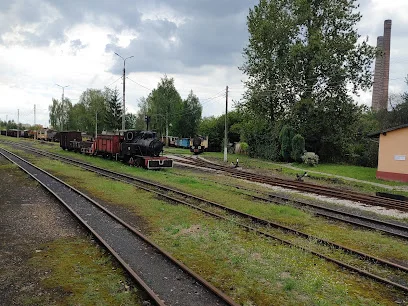 Górnośląskie Koleje Wąskotorowe (Bytom)